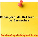 Consejera de Belleza – Lo Barnechea