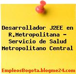 Desarrollador J2EE en R.Metropolitana – Servicio de Salud Metropolitano Central