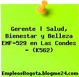 Gerente | Salud, Bienestar y Belleza EMF-529 en Las Condes – (K562)