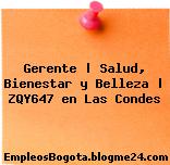Gerente | Salud, Bienestar y Belleza | ZQY647 en Las Condes