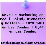 KM.49 – Marketing en red | Salud, Bienestar y Belleza – (UYV.140) en Las Condes | O.44 en Las Condes