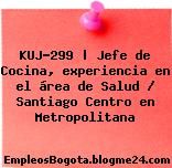 KUJ-299 | Jefe de Cocina, experiencia en el área de Salud / Santiago Centro en Metropolitana