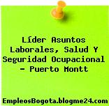 Líder Asuntos Laborales, Salud Y Seguridad Ocupacional – Puerto Montt