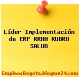Líder Implementación de ERP RRHH RUBRO SALUD