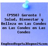 (P558) Gerente | Salud, Bienestar y Belleza en Las Condes en Las Condes en Las Condes
