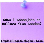 S963 | Consejera de Belleza (Las Condes)