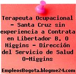 Terapeuta Ocupacional – Santa Cruz sin experiencia a Contrata en Libertador B. O Higgins – Dirección del Servicio de Salud O”Higgins