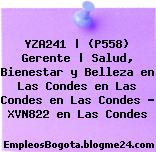 YZA241 | (P558) Gerente | Salud, Bienestar y Belleza en Las Condes en Las Condes en Las Condes – XVN822 en Las Condes