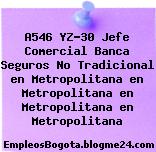 A546 YZ-30 Jefe Comercial Banca Seguros No Tradicional en Metropolitana en Metropolitana en Metropolitana en Metropolitana