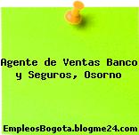 Agente de Ventas Banco y Seguros, Osorno