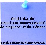 Analista de Comunicaciones-Compañía de Seguros Vida Cámara