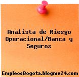 Analista de Riesgo Operacional/Banca y Seguros