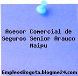 Asesor Comercial de Seguros Senior Arauco Maipu