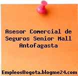 Asesor Comercial de Seguros Senior Mall Antofagasta