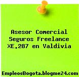 Asesor Comercial Seguros Freelance XE.287 en Valdivia