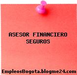 ASESOR FINANCIERO SEGUROS