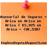 Asesor(a) de Seguros – Arica en Arica en Arica | KS.925 en Arica – (OK.530)