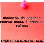 Asesores de Seguros Puerto Montt | P484 en Palena