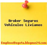 Broker Seguros Vehículos Livianos