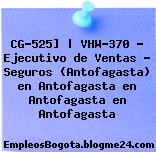 CG-525] | VHW-370 – Ejecutivo de Ventas – Seguros (Antofagasta) en Antofagasta en Antofagasta en Antofagasta