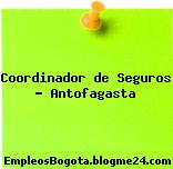 Coordinador de Seguros – Antofagasta