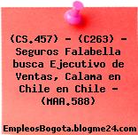 (CS.457) – (C263) – Seguros Falabella busca Ejecutivo de Ventas, Calama en Chile en Chile – (MAA.588)