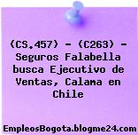 (CS.457) – (C263) – Seguros Falabella busca Ejecutivo de Ventas, Calama en Chile