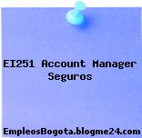 EI251 Account Manager Seguros