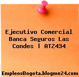 Ejecutivo Comercial Banca Seguros Las Condes | ATZ434