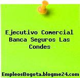 Ejecutivo Comercial Banca Seguros Las Condes