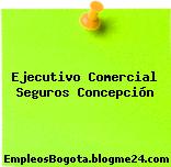 Ejecutivo Comercial Seguros Concepción