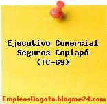 Ejecutivo Comercial Seguros Copiapó (TC-69)