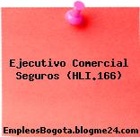Ejecutivo Comercial Seguros (HLI.166)