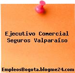 Ejecutivo Comercial Seguros Valparaíso