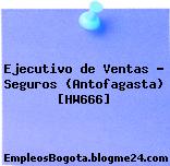Ejecutivo de Ventas – Seguros (Antofagasta) [HW666]