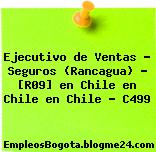 Ejecutivo de Ventas – Seguros (Rancagua) – [R09] en Chile en Chile en Chile – C499