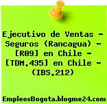 Ejecutivo de Ventas – Seguros (Rancagua) – [R09] en Chile – [TDM.435] en Chile – (IBS.212)