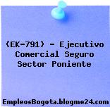 (EK-791) – Ejecutivo Comercial Seguro Sector Poniente