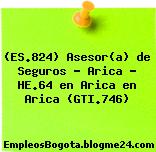 (ES.824) Asesor(a) de Seguros – Arica – HE.64 en Arica en Arica (GTI.746)