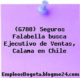 (G788) Seguros Falabella busca Ejecutivo de Ventas, Calama en Chile
