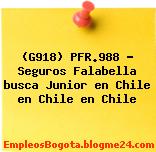 (G918) PFR.988 – Seguros Falabella busca Junior en Chile en Chile en Chile