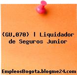 (GU.070) | Liquidador de Seguros Junior