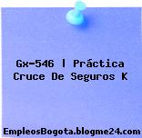 Gx-546 | Práctica Cruce De Seguros K