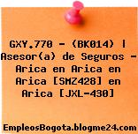 GXY.770 – (BK014) | Asesor(a) de Seguros – Arica en Arica en Arica [SMZ428] en Arica [JXL-430]