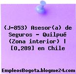 (J-853) Asesor(a) de Seguros – Quilpué (Zona interior) | [O.289] en Chile