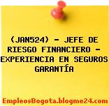 (JAN524) – JEFE DE RIESGO FINANCIERO – EXPERIENCIA EN SEGUROS GARANTÍA