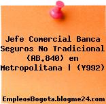 Jefe Comercial Banca Seguros No Tradicional (AB.840) en Metropolitana | (Y992)