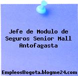 Jefe de Modulo de Seguros Senior Mall Antofagasta