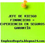 JEFE DE RIESGO FINANCIERO – EXPERIENCIA EN SEGUROS GARANTÍA