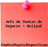 Jefe de Ventas de Seguros – Quilpué